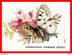 Delcampe - CPSM/gf PAPILLONS.  Parnassius Phoebus Gazeli..*3715 - Vlinders