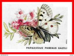 Delcampe - CPSM/gf PAPILLONS.  Parnassius Phoebus Gazeli..*3712 - Vlinders