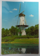 Delcampe - PAYS-BAS - ZEELAND - THOLEN - Molen "De Hoop" - Tholen