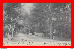 Delcampe - CPA (17)  ROYAN.  Le Parc..*18199 - Royan