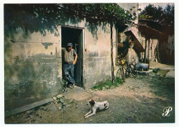 Delcampe - CPSM / CPM 10.5 X 15 Prestige CHARENTE Paysan Sur Le Pas De La Porte De Sa Ferme Chiens Vélo Bicyclette - Poitou-Charentes