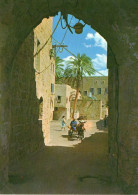 Delcampe - CPM - R - ISRAEL - ACRE - LANE IN THE OLD CITY - Israel