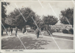 Delcampe - Bh319 Cartolina Cosenza Citta' Giardini Pubblici - Cosenza