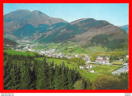 Delcampe - CPSM/gf  SANTESTEBAN (Espagne)   Vista  General, Al Fondo "Monte Mendaur". *2898 - Navarra (Pamplona)