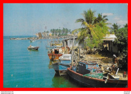 Delcampe - CPSM/gf NEGOMBO (Sri Lanka)   Scenery Of Negombo Lagoon, Animé, Bateau De Pêche. *2784 - Sri Lanka (Ceylon)