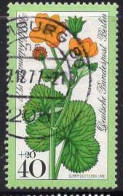Delcampe - Berlin Poste Obl Yv:519 Mi:557 Sumpfdotterblume Caltha Palustris (Beau Cachet Rond) - Autres & Non Classés