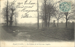 Delcampe - 10202 CPA Beynes - La Colonne De La Prise Aux Anglais - Beynes