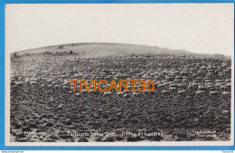 Delcampe - CARTE PHOTO - ARGENTINE - TERRITORIO SANTA CRUZ - RODEO DE LANARES - FOT. KOHLMANN - Argentinien