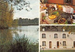 Delcampe - AUBIGNY Sur NEVE Hotel Restaurant LE CHEVAL BLANC Sainte Montaine 11 (scan Recto-verso)MA2299 - Aubigny Sur Nere