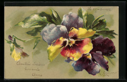 Delcampe - Künstler-AK Catharina Klein: Gelb-Violette Stiefmütterchen - Klein, Catharina