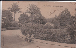 Delcampe - BLIDA  LE JARDIN BIZOT - Blida