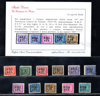 Delcampe - Trieste A - Segnatasse N. 5/15 Serie Completa Certificato Diena - Ungebraucht