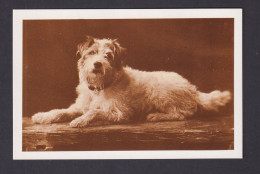 Delcampe - ENGLAND - Edward VII's Dog Caesar 1910 Nostalgia Postcard - Königshäuser