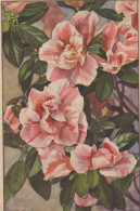 Delcampe - Azalea Flowers Botanical Art Hand Painted Floral Still Life Unposted #SCS904 - Blumen