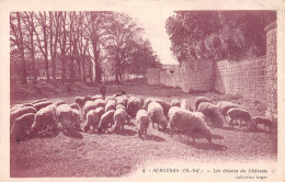 Delcampe - 17-SURGERES-N°T2223-D/0329 - Surgères