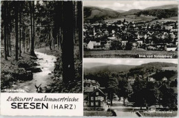 Delcampe - Seesen Harz Seesen Lautenthalerstrasse Sonnenberg - Seesen