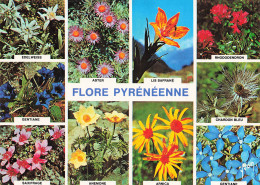 Delcampe - 94 ARCUEIL COULEURS ET LUMIERE DE FRANCE LA FLORE PYRENEENNE - Arcueil
