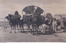 Delcampe - LYI-   ALGERIE - SCENES ET TYPES -  CARAVANES - BASSOURS. CHAMEAUX - ( 2 SCANS ) - Szenen