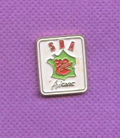 Delcampe - Rare Pins Carte De France Sda Avicarc A111 - Autres & Non Classés