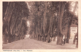 Delcampe - 66-PERPIGNAN-N°T2235-E/0105 - Perpignan