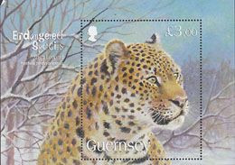 Delcampe - GUERNSEY 2009 - Léopard Amur - Bloc - Guernsey