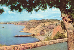 Delcampe - ESPAGNE ALICANTE COSTA BLANCA - Alicante