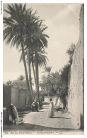 Delcampe - AOYP1-0036-ALGERIE - Rue Du Vieux BISKRA - Palmiers-dattiers - Biskra