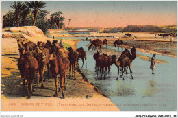 Delcampe - AEQP10-ALGERIE-0885 - Scènes Et Types - Transport Des Dattes - Chameaux Dans L'oued Bayech - Szenen