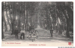 Delcampe - CAR-AHRP15-0722-66 - PERPIGNAN - Les Platanes - Perpignan