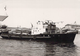 Delcampe - Tugboat Scheldepoort Postcard Size Real Photo #SDC086 - Schlepper