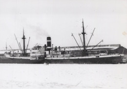 Delcampe - Arnhem Cargo Ship 1950 Postcard Size Real Photo #SDD162 - Handel