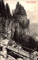 Delcampe - ST. BEATENBERG - Weg Zum Kanzeli - Photoglob 10740 - Beatenberg