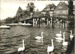 Delcampe - Steinhude  Ungelaufen Ca. 1965 - Steinhude