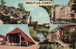 Delcampe - 91 MILLY LA FORET LES ROCHES - Milly La Foret
