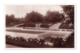 Delcampe - Rabat Ague­dal – Jardin D’Essai, Maroc, Jardin Fleuri - Rabat