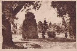Delcampe - Romania - Sinaia - Vedere Din Parc - Timbru - Rumänien