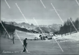 Delcampe - Bb227  Cartolina Sportinia Panorama Torino Piemonte - Sonstige & Ohne Zuordnung