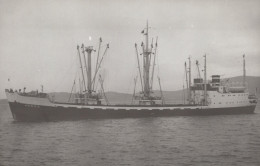 Delcampe - ARGOS Cargo Ship Postcard Size Real Photo #SDD699 - Handel
