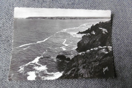 Delcampe - D 29 - Pointe Du Raz - Baie Des Trépassés Et Pointe Du Van - La Pointe Du Raz