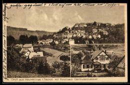 Delcampe - AK Neuweilnau I. Taunus, Ortsansicht Mit Forsthaus Gertrudenhammer - Jagd