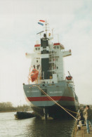 Delcampe - Metsaborg Cargo Ship Willemstad Postcard Size Real Photo #SDK036 - Handel
