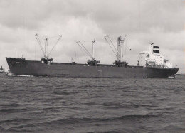 Delcampe - BARNEVELD Cargo Ship Postcard Size Real Photo #SDK570 - Handel