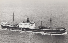 Delcampe - BOSKOOP Cargo Ship Postcard Size Real Photo #SDM121 - Handel