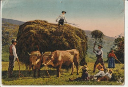 Delcampe - Scène De Fenaison - Attelage De Boeufs - Wagengespanne