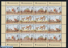 Delcampe - Hungary 1994 WWF, Birds M/s, Mint NH, Nature - Birds - World Wildlife Fund (WWF) - Ungebraucht