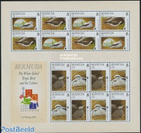 Delcampe - Bermuda 2001 WWF, Birds M/s, Mint NH, Nature - Birds - World Wildlife Fund (WWF) - Bermuda