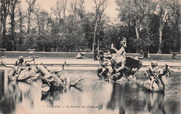 Delcampe - 78 VERSAILLES LE BASSIN DU DRAGON - Versailles