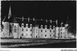 Delcampe - ABGP8-03-0668 - Chateau De LAPALISSE - Cour Interieur - Son Et Lumiere - Lapalisse