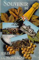 Delcampe - Carte Postale 51. Rilly-la-Montagne   Champagne Très Beau Plan - Rilly-la-Montagne