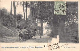 Delcampe - Belgique - SCHAERBEEK (Brux.-Cap.) Voiture à Chien Dans La Vallée Josaphat - SURFACE DE LA CARTE POSTALE ABIMÉE - Ed. L. - Schaerbeek - Schaarbeek